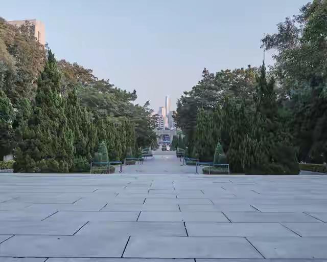清明雨丝，勾连起血脉里的思念清明的雨，从来不是水。它是天空垂下的银线，一