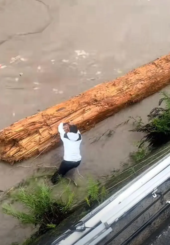 怒江沿岸的云南人捡柴有多拼？垂绳下江捡水中巨木！当地：不允许捡，已有专人劝阻5