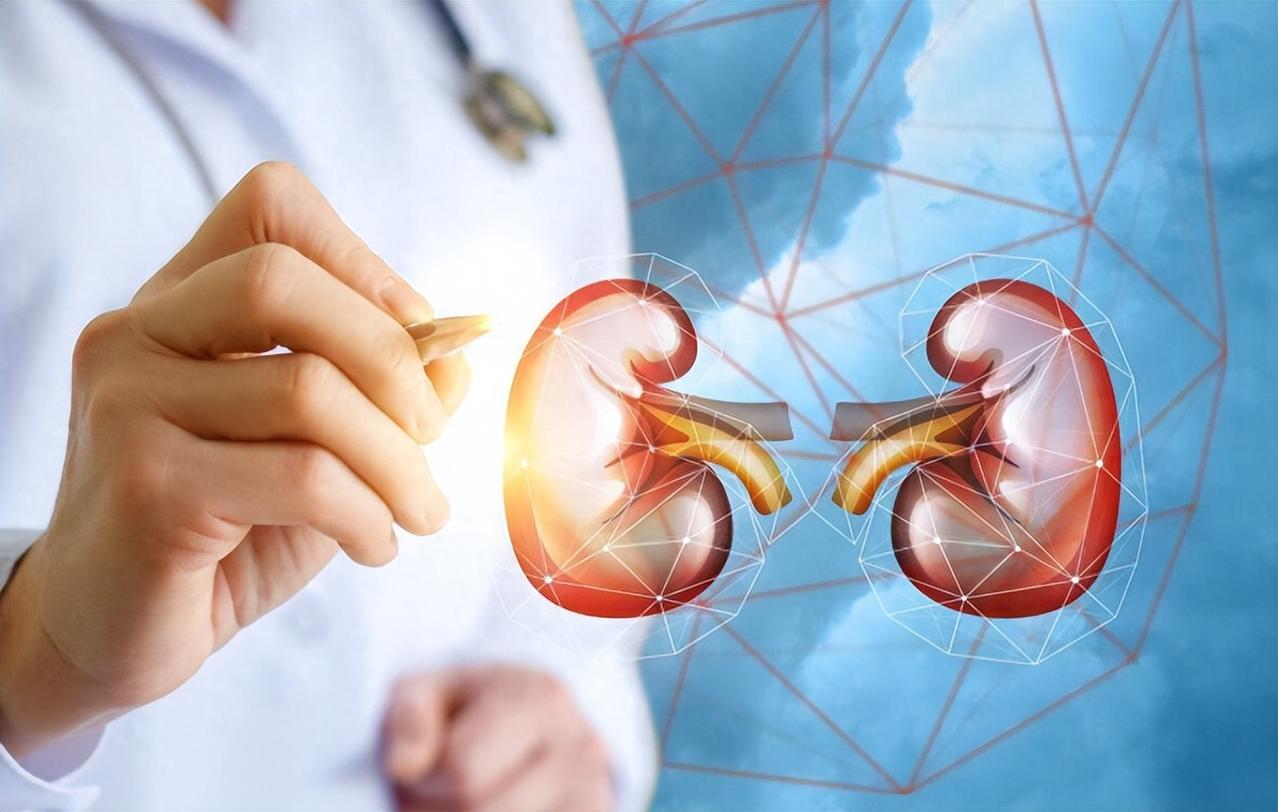 被称为“天然肾宝”！夜尿多、腰酸、失眠，吃对了真的很管用提示：本内容仅供健康