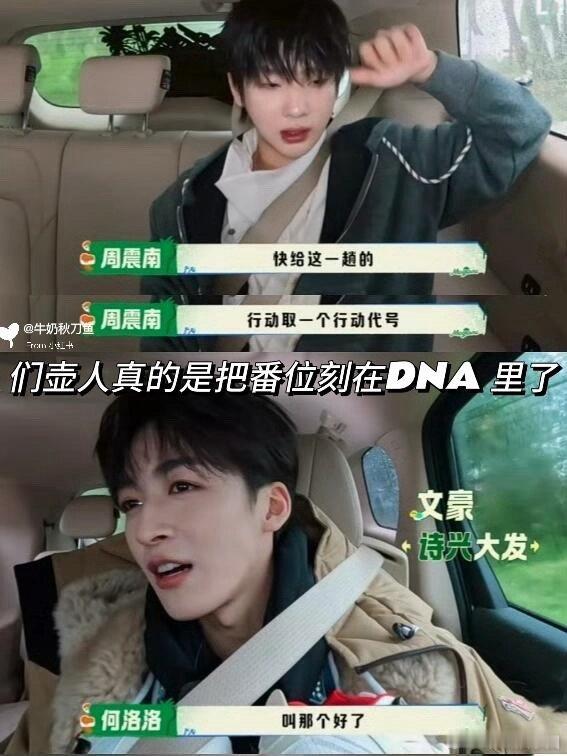 周震南婴儿塑12479番位梗，深深刻在选秀人的DNA里🤣|笑鼠了，谁还没看欢