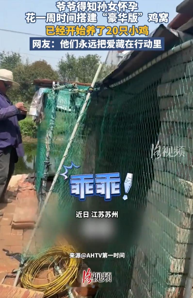 这就是隔辈亲！江苏南通，一女子怀孕后，第一时间就把这个消息告诉了爷爷奶奶，老人也