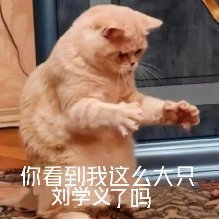 老师们我们家孩子参加什么活动啊？