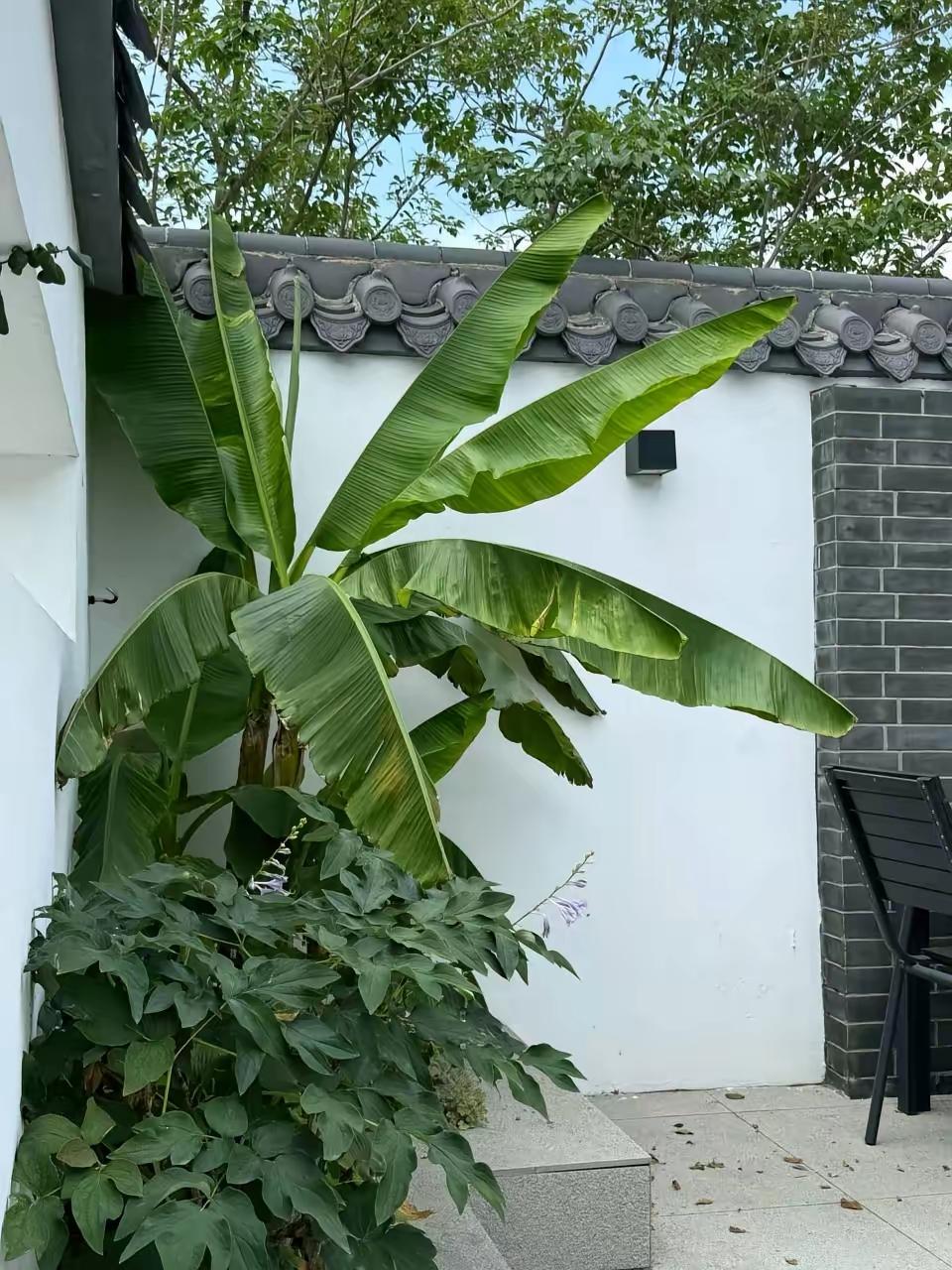 当你退了休，离了职场圈，就什么都看清了。第一，你在位时是资源，退休后是路人。