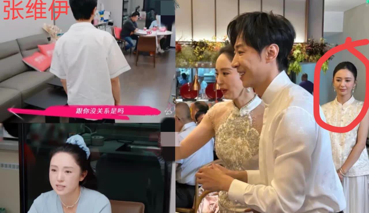 董璇成功把我雷到了，也不是因为她嫁了小9岁的张维伊，因为她跟张维