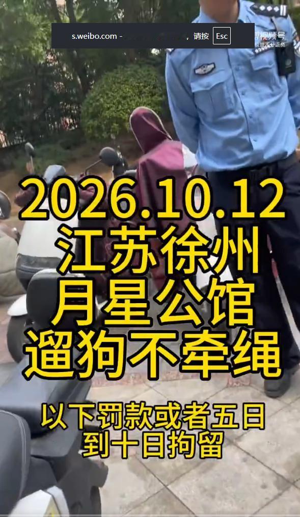“这就是遛狗不栓绳的下场！”江苏徐州，一男子下楼扔垃圾，撞见邻居遛大型犬不拴绳，