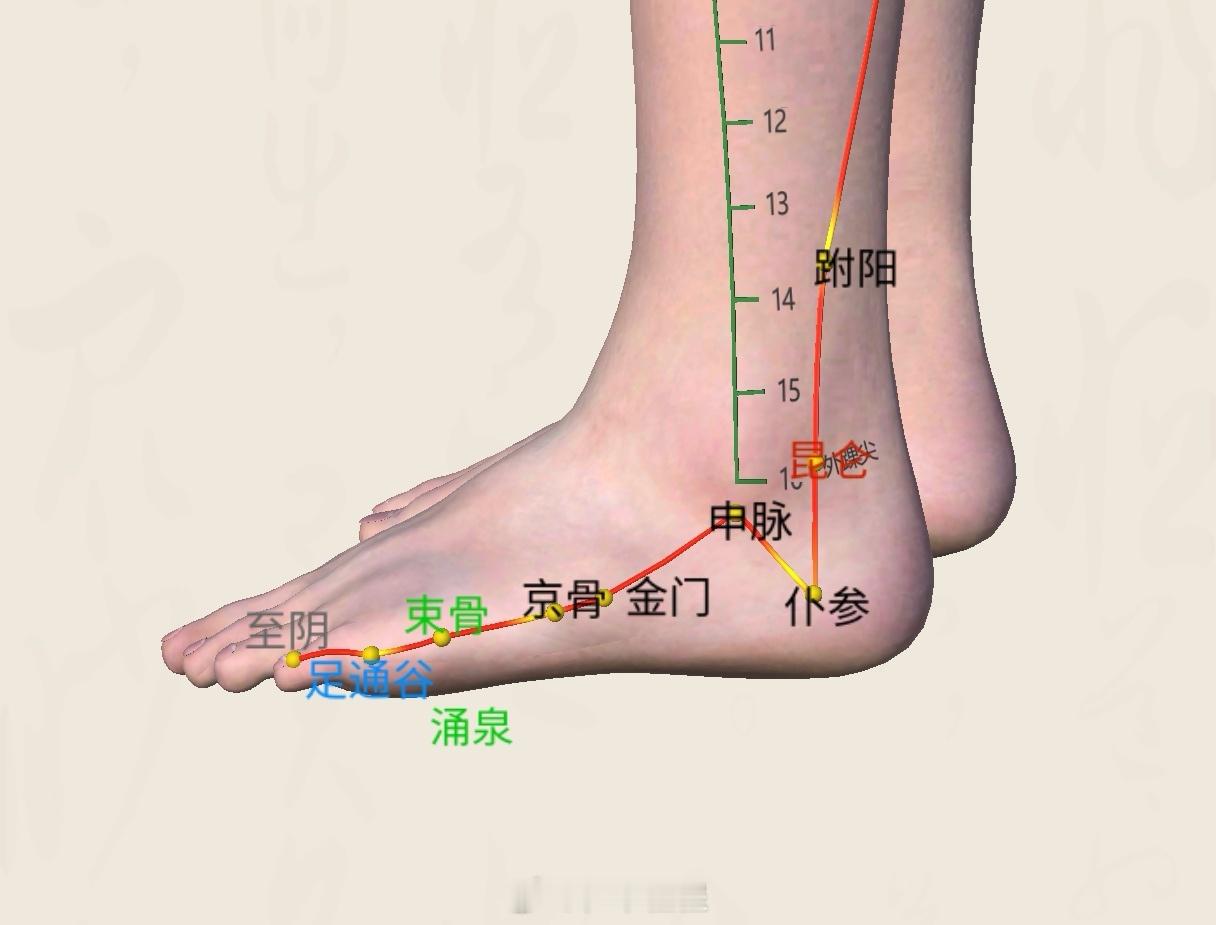 如果平时腰背紧张、板结、僵紧，就拍脚上的肾经和膀胱经，准备拍痧板或者直接用手掌都