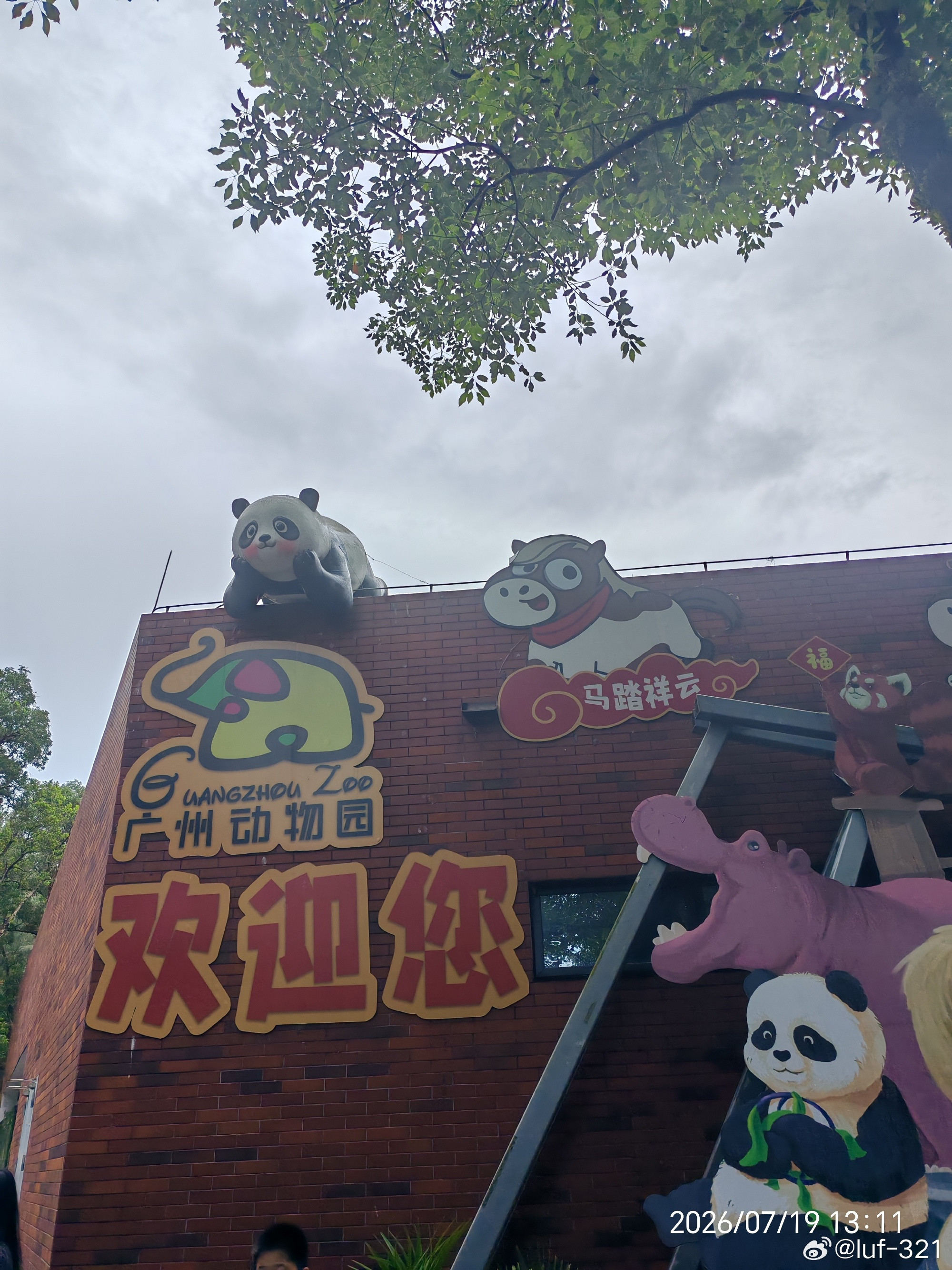 2026.7.19广州动物园鸟类 嘴最有特色长颈鹿 大象 犀牛大大只可...