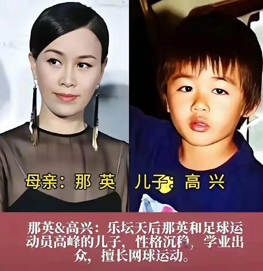 老艺术家宋祖英的儿子，真是惊艳到众人了，只是特别低调，根本不曝光露面！那英和高峰