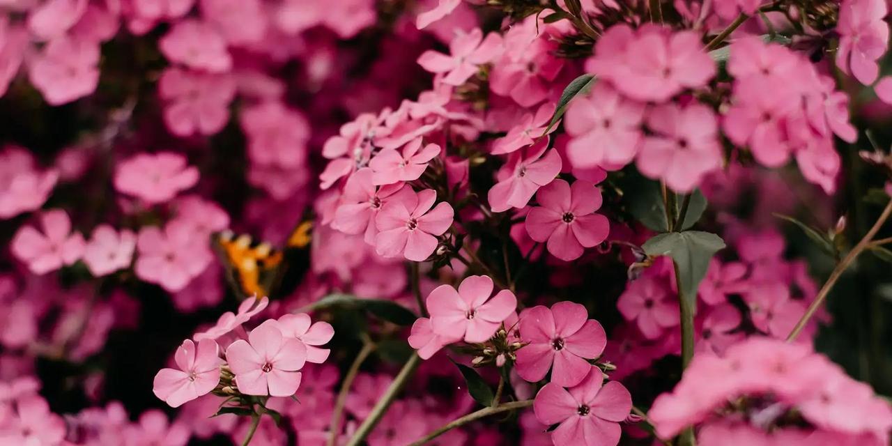 最近白羊座的朋友们要注意啦！之前的一些误会和不愉快，现在是时候主动去解决，把过去