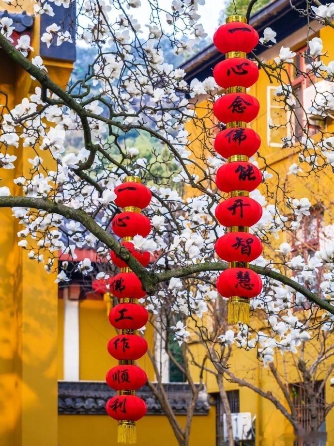 20年前，如果你有50万，买茅台股票，现在已经变成8000万。20年前，如果你有