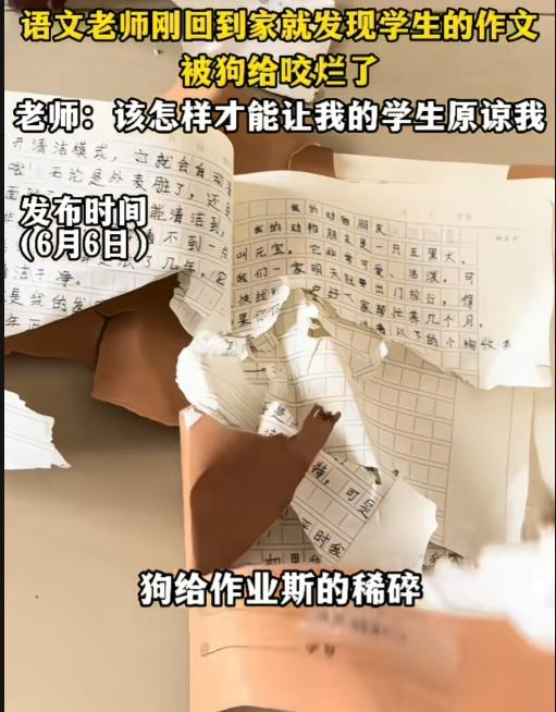 语文老师刚回家就发现学生的作文，被狗撕碎了，想着怎么才能让学生原谅？没想到居