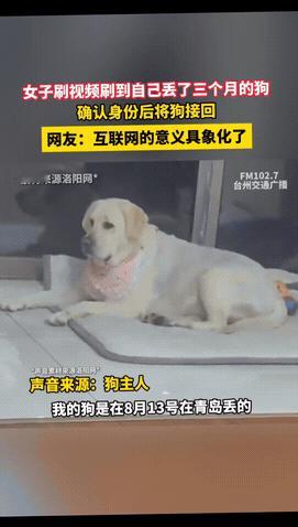 山东青岛，高女士的狗狗丢了3个月了，一天她没事刷视频，竟然看到了自己家的狗狗。这