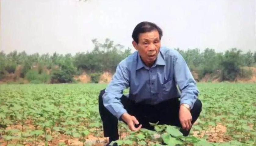 1991年，寿光县委书记王伯祥调任，前往潍坊担任副市长，然而他在临走前，竟将院子