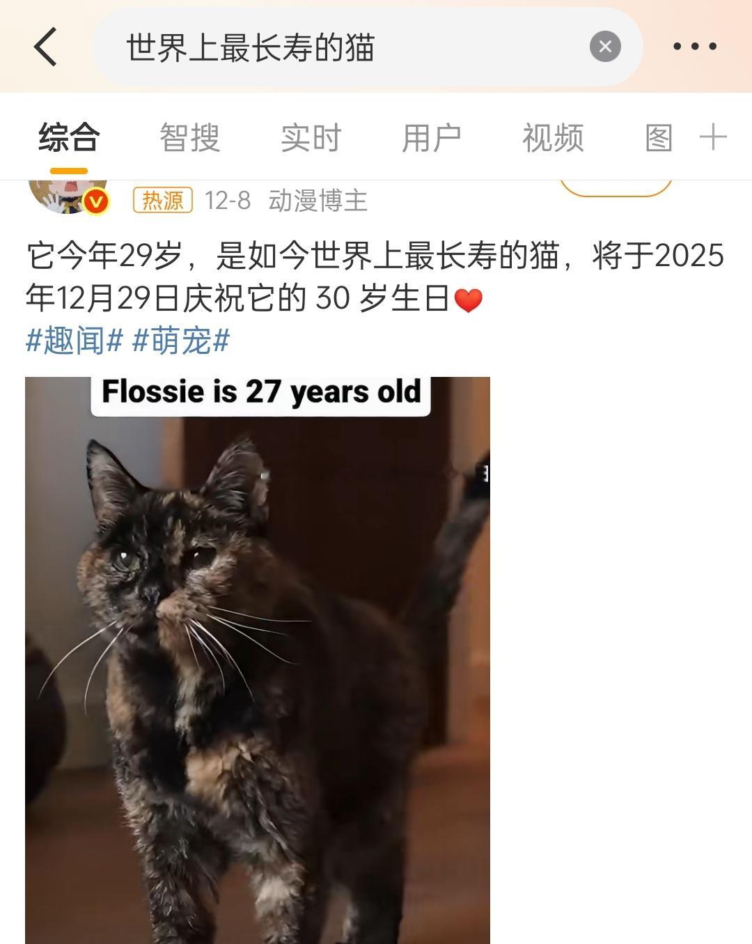 世界上最长寿的猫原来猫可以这么长寿啊看来我老婆那只老猫生莫应该也可以目前十几