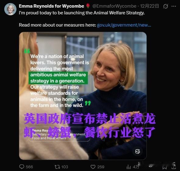 ‌英国禁活煮龙虾引餐饮业震怒：传统烹饪遇挑战，成本激增引质疑‌据外媒报