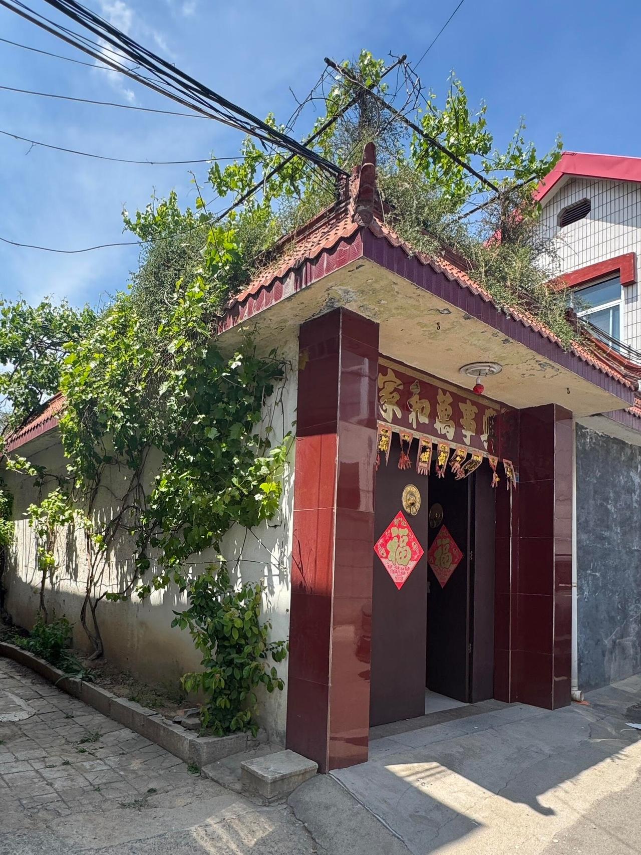 人怎么能勇敢成这样！26岁买了一套和自己年龄差不多的房子！身边人几乎都在劝，说不