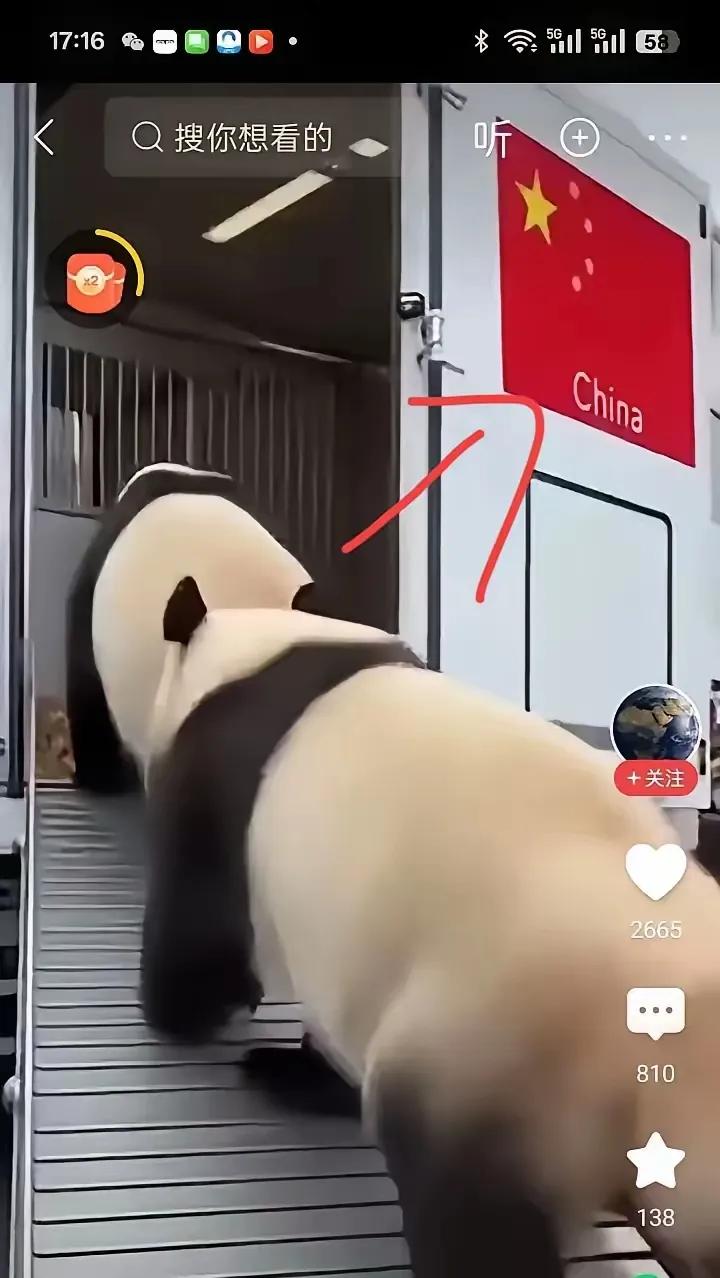 看晓晓蕾蕾朝着挂国旗的回国专车大步走，瞬间破防！这俩宝在海外待了这么久，终