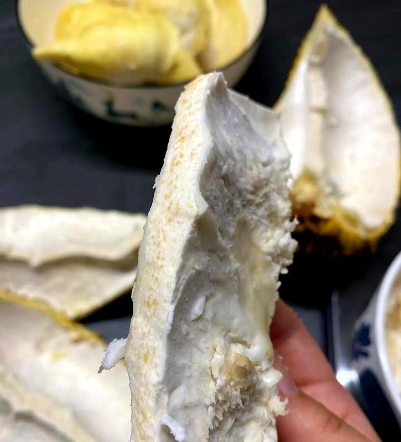 同事说今年榴莲便宜，她一周吃了四五个，过足了榴莲瘾。我正琢磨她咋能这么猛吃，人