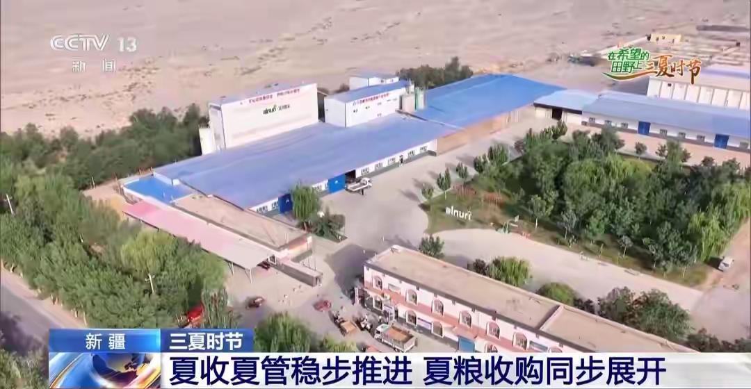 视频丨全国多地夏收夏管稳步推进科技种粮稳丰收随着“三夏”生产逐步推进，这段时