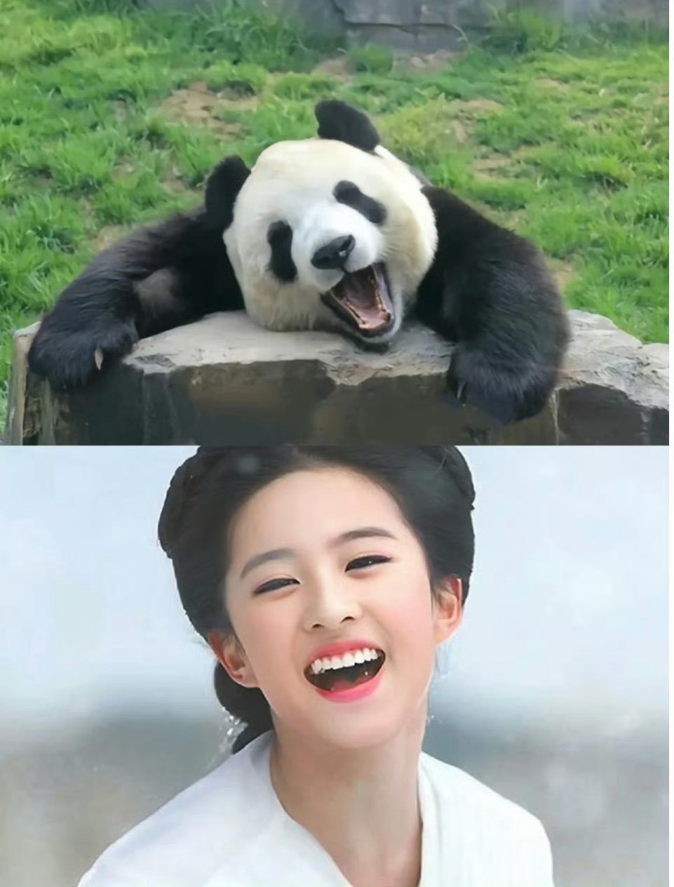能不能禁止刘亦菲和人打招呼顶级演员是这样的可塑性太高了刘亦菲的任何一个动物塑我