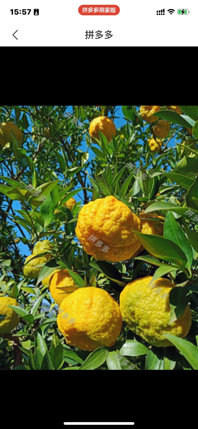 在拼多多买了十斤苹果，收到有坏的。跟客服说苹果坏还发，客服问几个，我说3个。这时