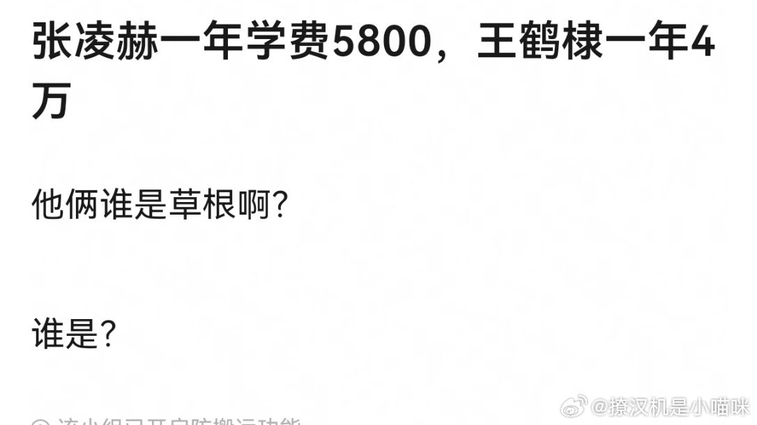 张凌赫一年学费5800，王鹤棣一年4万他俩谁是草根啊？谁是？感觉王鹤棣更草根，感