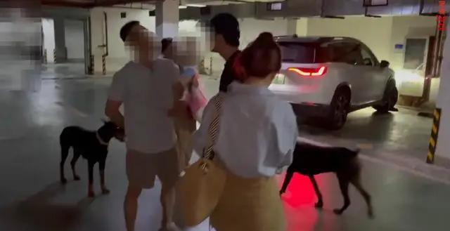 丹阳，两条烈性犬杜宾上了热搜，现在杜宾犬事件有了后续，叫嚣狗主人女疑似当地美容院