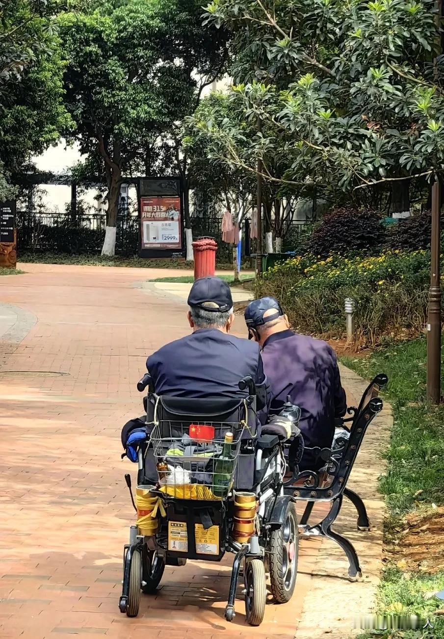 惊呆！兄弟姐妹断亲，从赡养父母开始。都说打断骨头连着筋，兄弟姐妹从小一块儿长