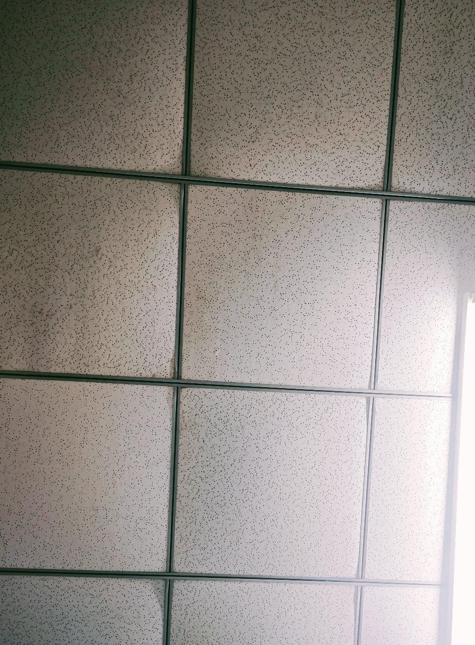 听说🐮🐴的天花板都是这样的​​​