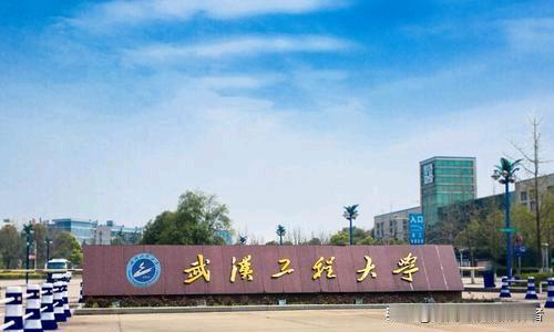 侄女本科就读于武汉工程大学，研究生武汉大学，最后决定不考公务员和事业编了，主要是