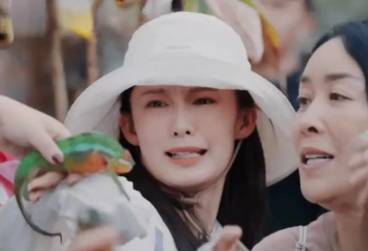 期待李沁我不会放过这个李沁