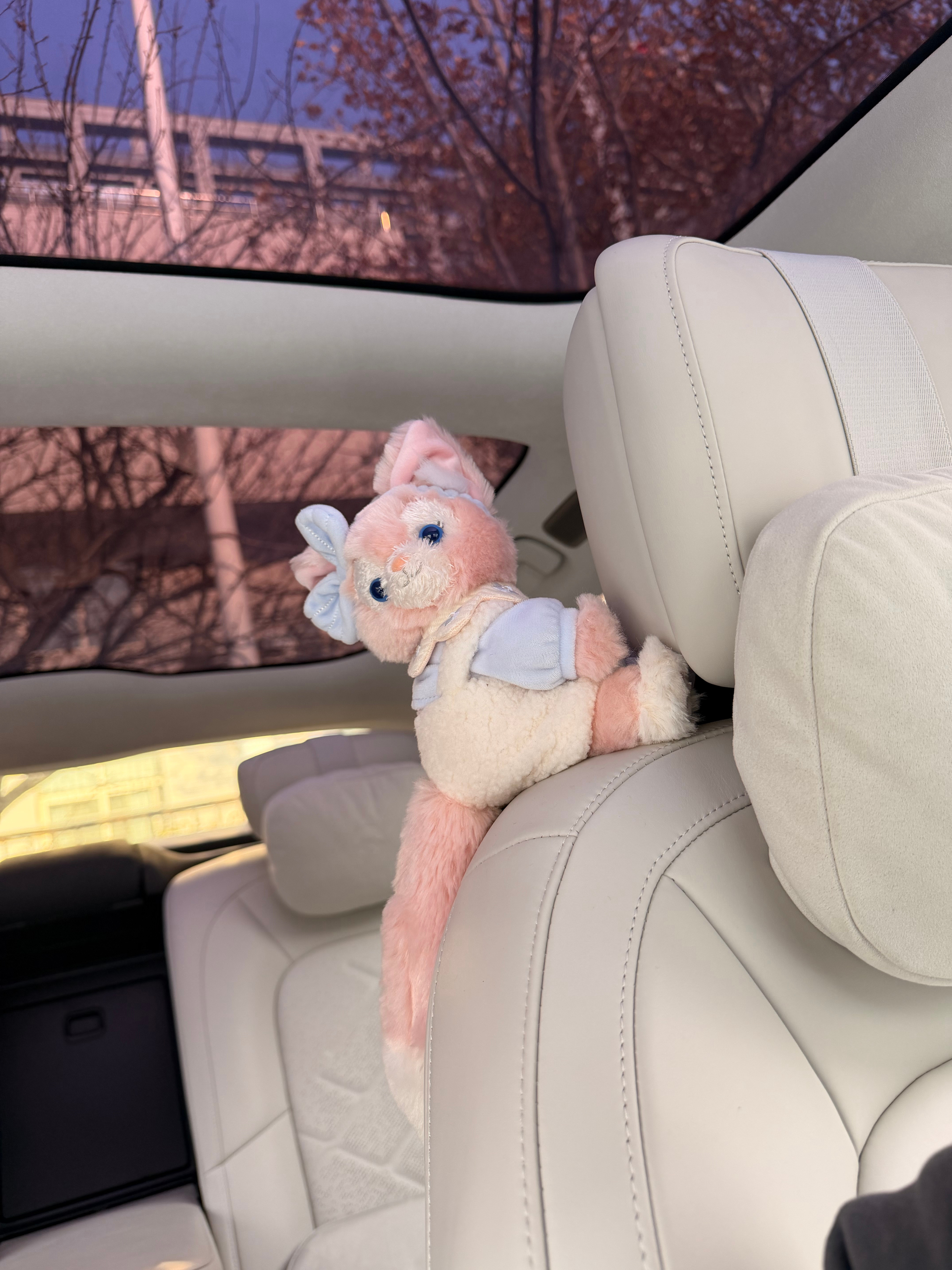 当你有了女朋友…车里一下变得可爱起来了🥰搭配白色内饰，绝了