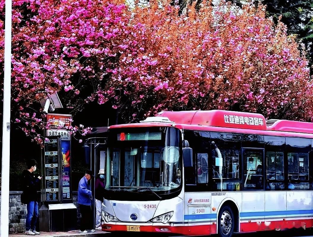 5500名公交司机对上7100名后台员工，大连公交这人员比例，难怪网友看到要