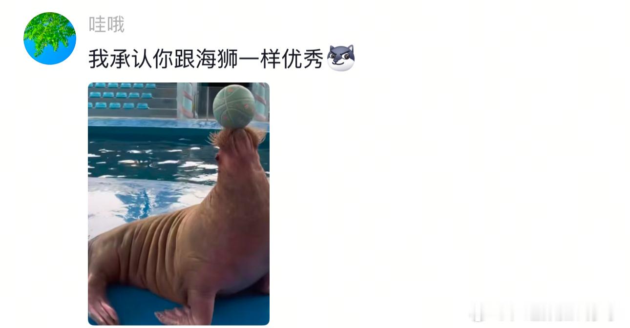 教练说用脑子打球她听进去了