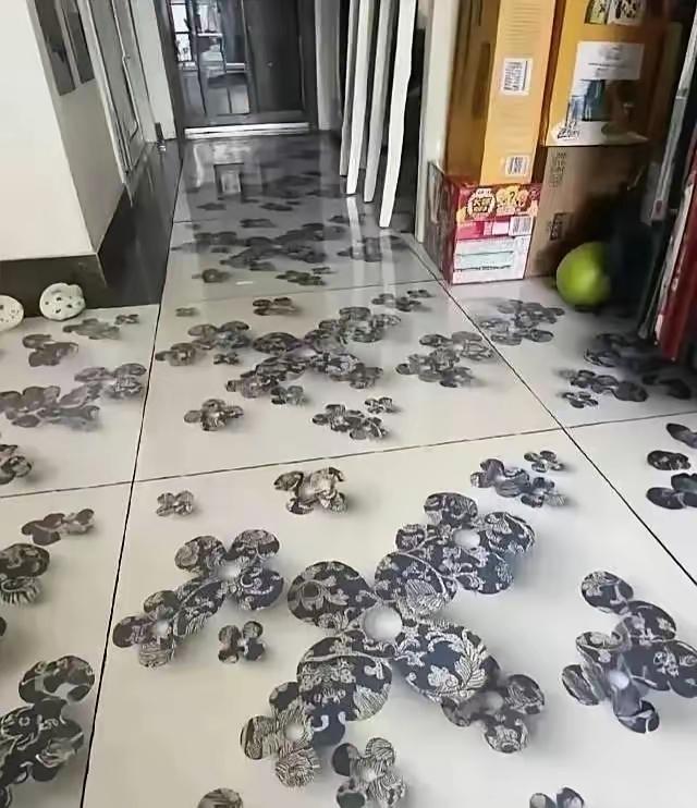 本来觉得这瓷砖很漂亮，一贴完整个地面，看着有点崩溃，这还能改吗？单块瓷砖明明看