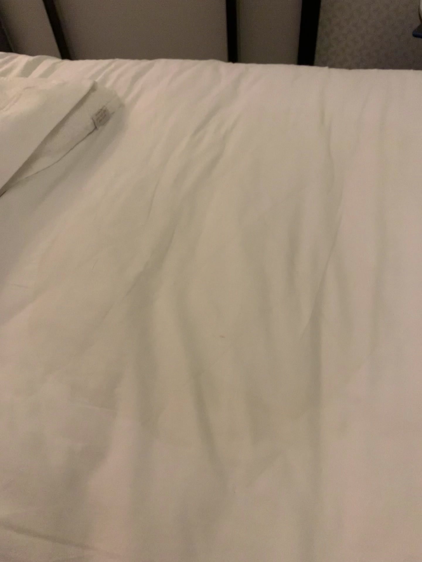 不好意思老板都怪我太调皮了要不然我赔你个床单吧