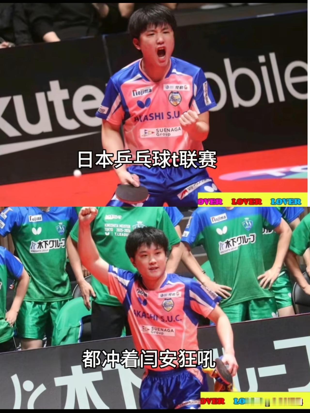 这事儿越琢磨越火大！二十来岁的张本智和，居然在赢球后对着42岁已退役的闫安怒吼，