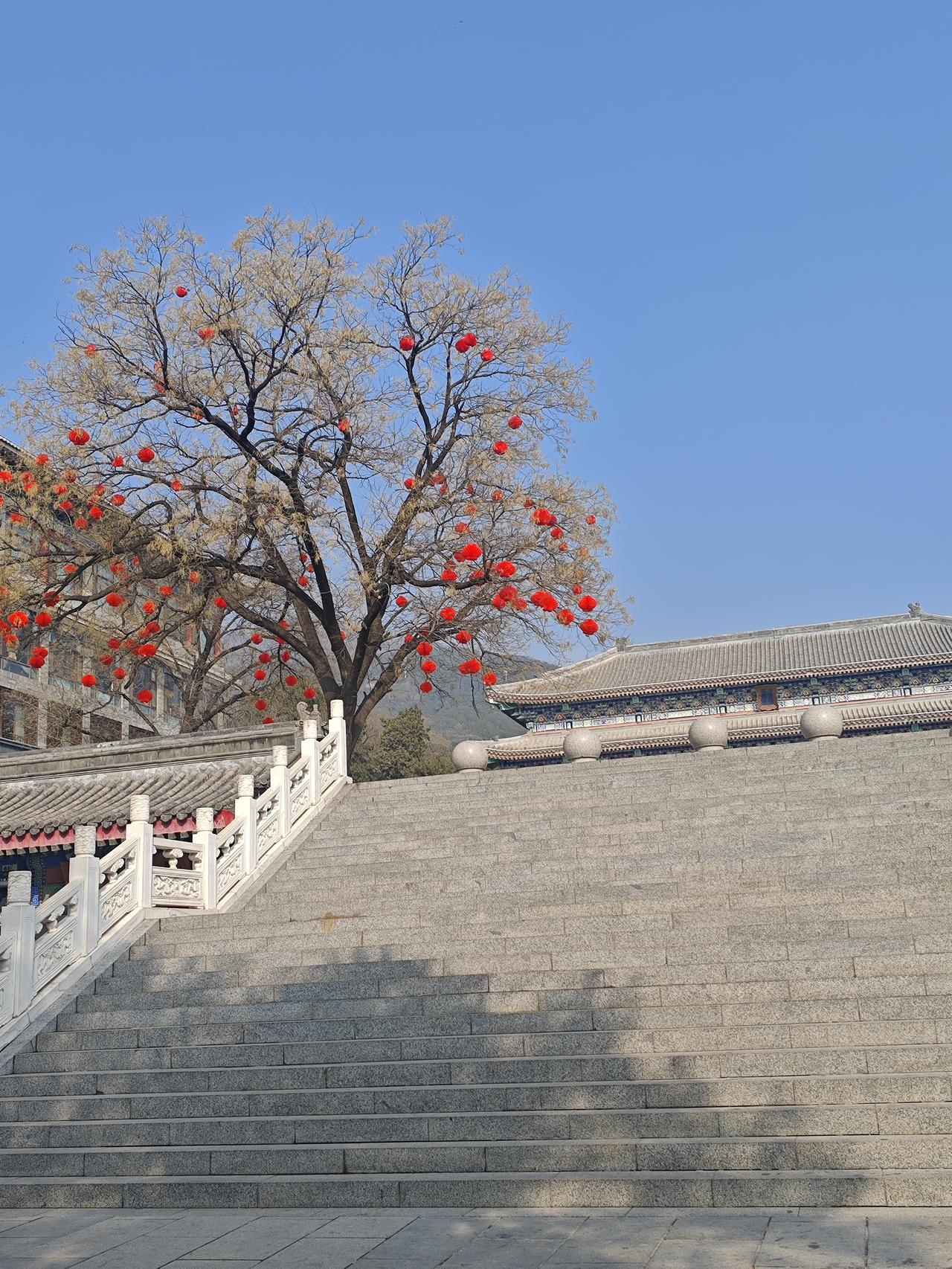 别总向人倾诉苦处日常生活中，若不善言辞，就别信口开河，要学会适时缄默。你