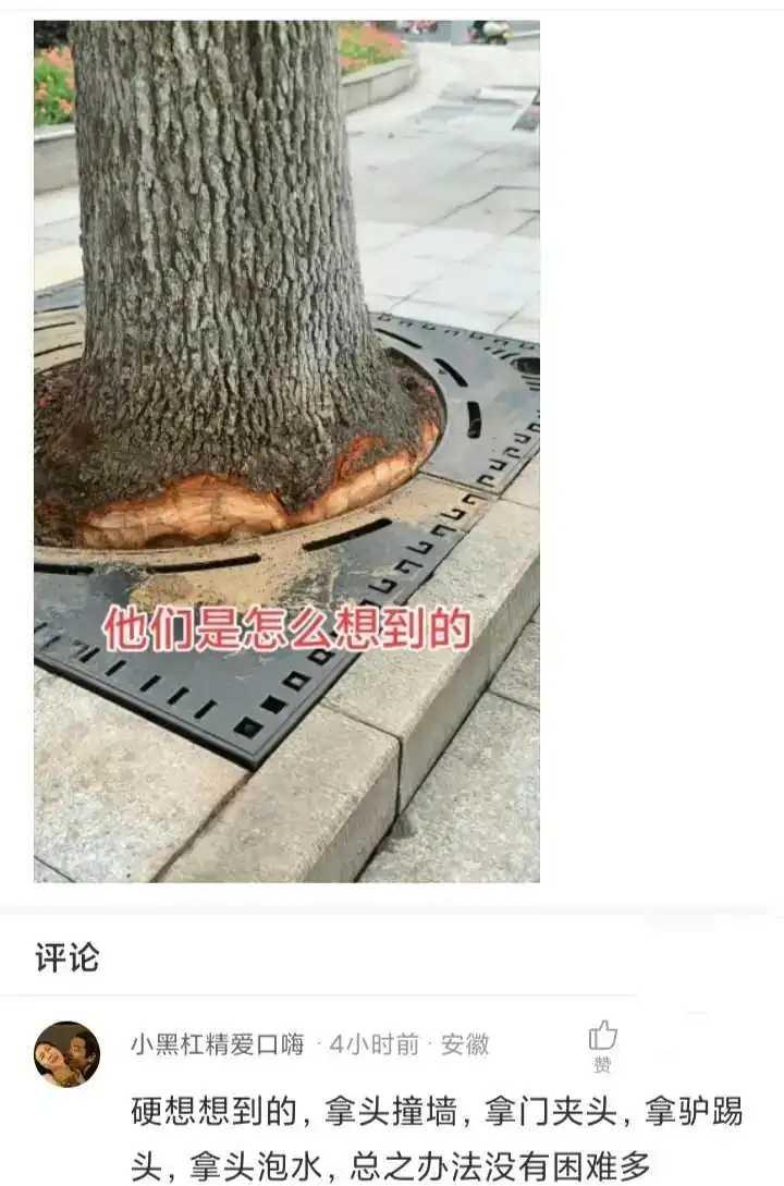 他们说装这个是为树好，树不配合就削它。这样有影响吗[捂脸哭]