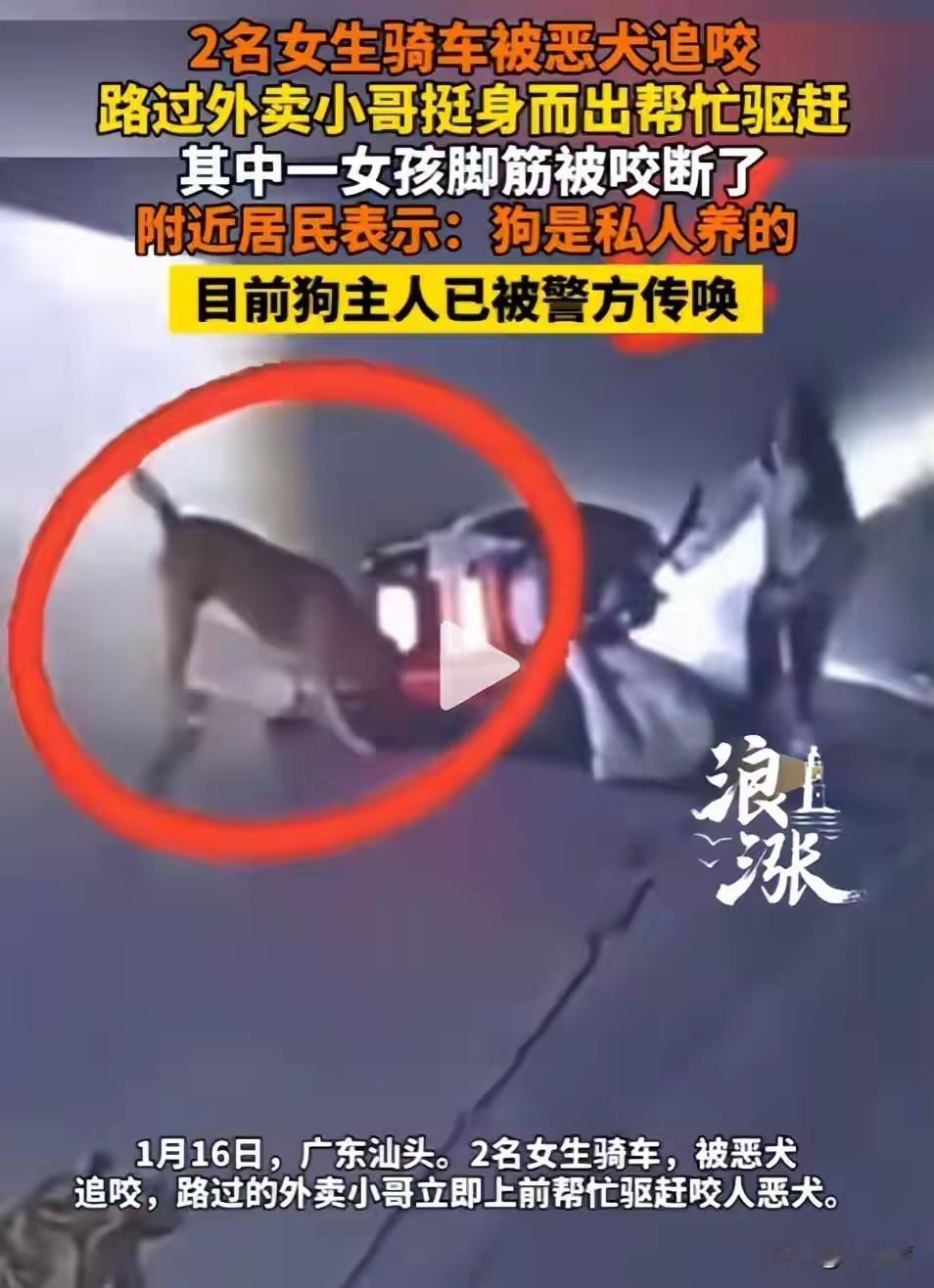 汕头两女生骑车遭恶犬撕咬，跟腱被咬断，外卖小哥挺身而出，后续来了！近日，在