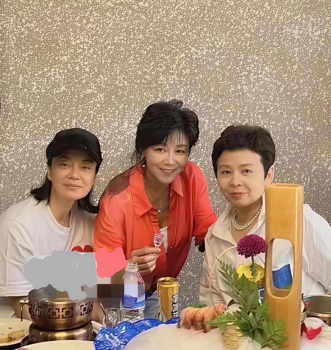 毛阿敏、董文华、苏红三位著名歌唱家，颜值和气质确实惊艳。毛阿敏虽颜值不是最顶级，