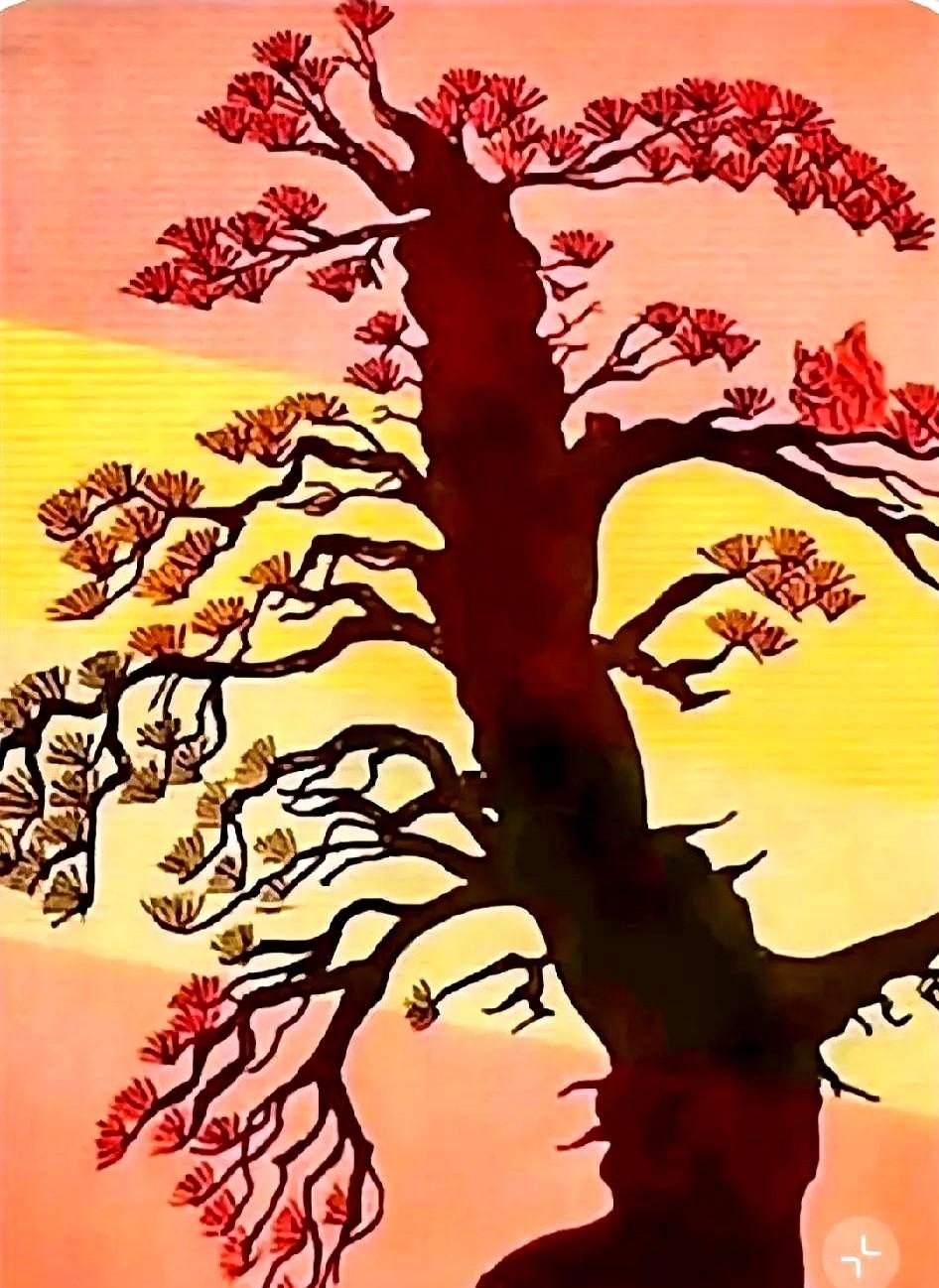 救命！在这棵树上有人脸吗朋友说盯着看十分钟就能发现秘密，结果我数了三遍都没对