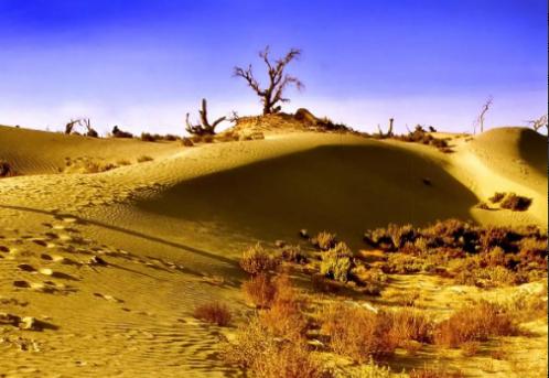 为什么现在要大规模的治理塔克拉玛干大沙漠，一个33万平方公里区域，因为以色列可以