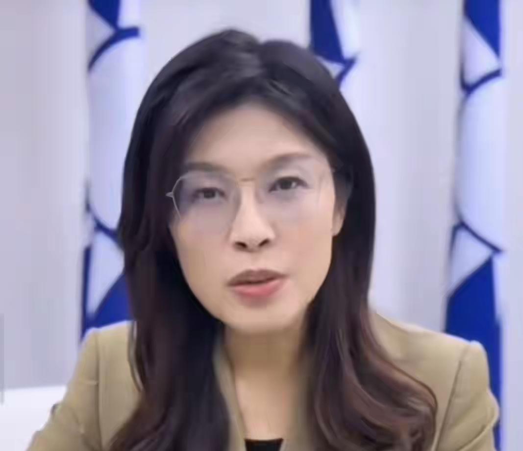 郑丽文的智慧在这次岛内的军购上充分展现出来。现在可以看到郑丽文提出的3800