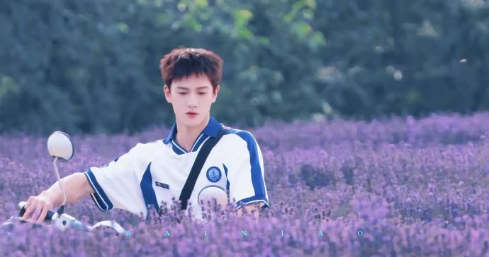 李昀锐邢武薰衣草花田路透李昀锐耀眼薰衣草花田骑电动车李昀锐《耀眼》邢武薰衣草花