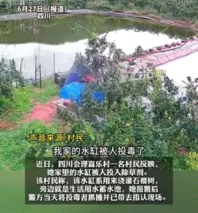 四川，一女子家果园里的监控提示报警，女子本以为有人偷水果，结果查看监控时，把女子