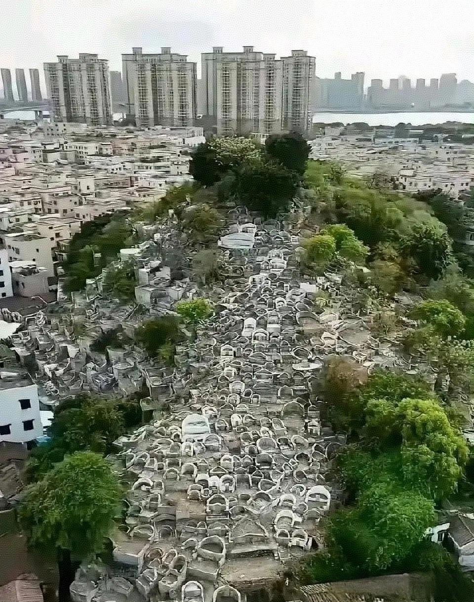 这就是多年后土葬的结果