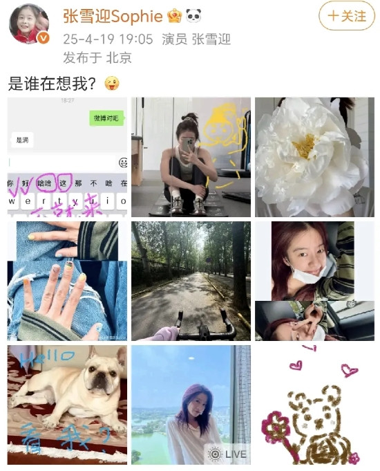 张雪迎：是谁在想我？4月19日晚，张雪迎在社交平台晒出了微信聊天记录、风景照