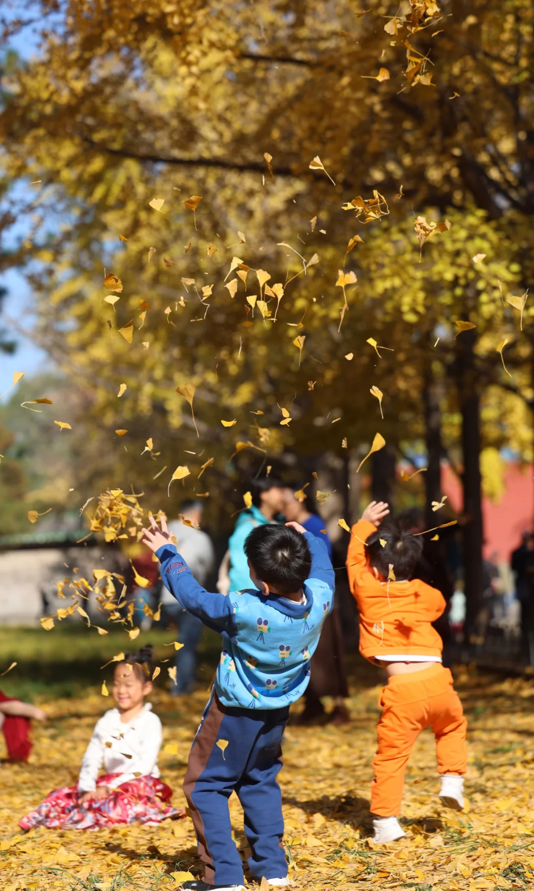 11.11天坛实况，掉60%了，不推荐来了