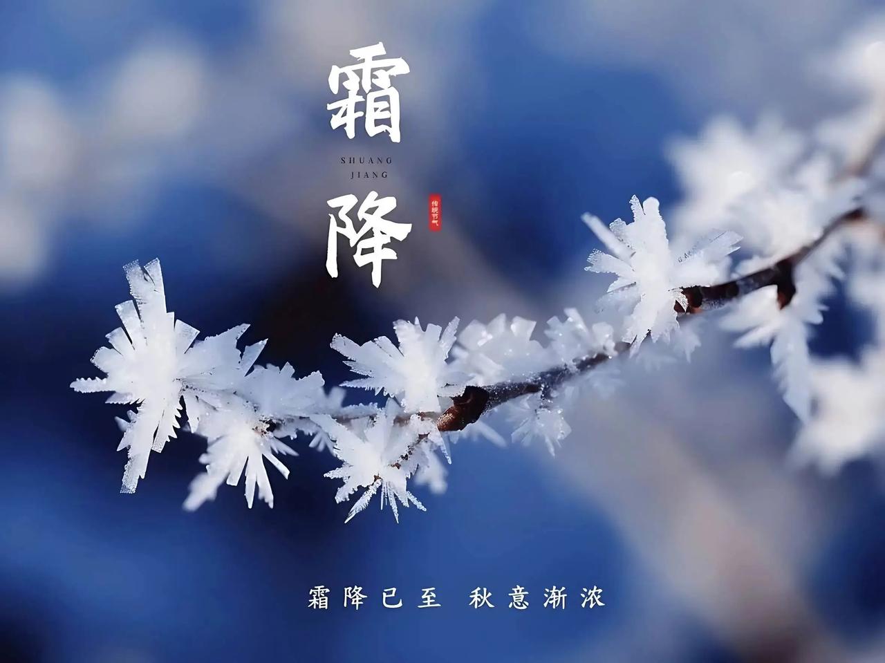 七律·《霜降》随意随心/赋节序轮回近晚秋，枯荷残菊两相留；千山霜叶随风落